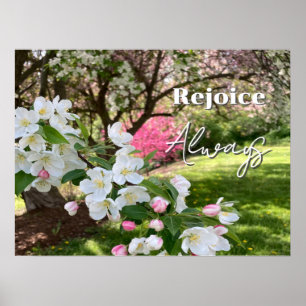 Majblommor Rosa Fröjda Alltid Poster