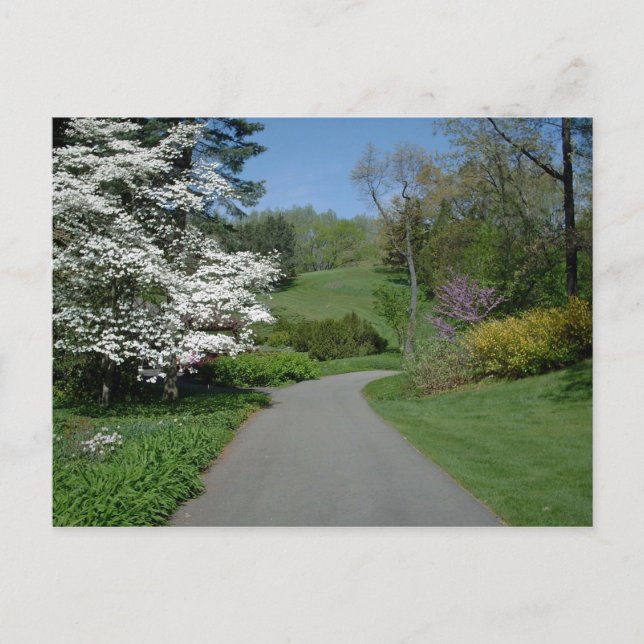 Majblommor Vykort (Framsida)