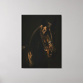 Majestätischer Fuchsbrauner Hengst im Dunkeln Canvastryck