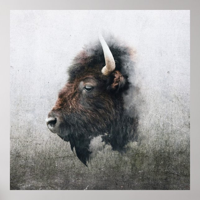 Majestätisk Bisonporträtt Poster (Framsidan)