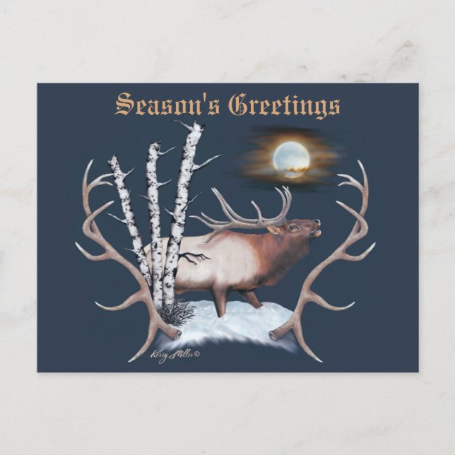 Majestätisk Elk Tjurn Vykort (Framsida)