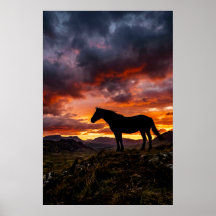 Majestätisk Häst Siluett Solnedgång Poster | Lyx