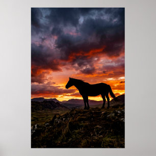 Majestätisk Häst Siluett Solnedgång Poster   Lyx
