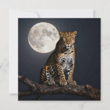 Majestätisk leopard och fullmåne Blank