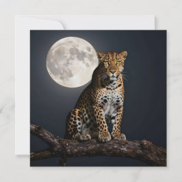 Majestätisk leopard och fullmåne Blank