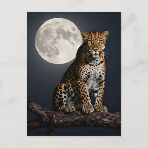 Majestätisk leopard och fullmåne  vykort