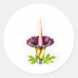 Majestätisk Likblomma Konst - Ikonisk Indonesisk B Runt Klistermärke