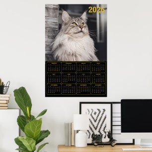 Majestätisk Maine Coon Katt – 2026 Väggkalender Poster