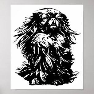 Majestätisk Pekingeser Poster