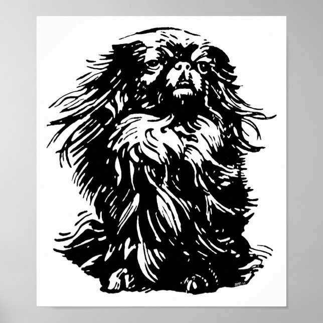 Majestätisk Pekingeser Poster (Framsidan)