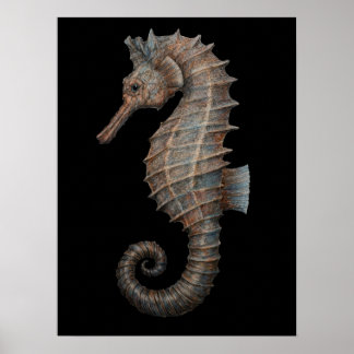 Majestätisk sjöhästar poster