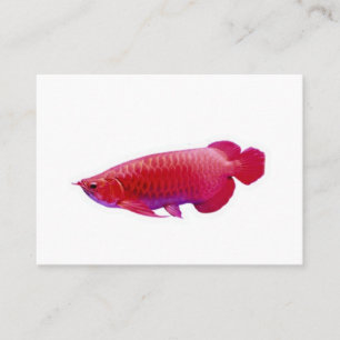 Majestätisk Super Röd Arowana Lucky Dragon Fisk St Visitkort