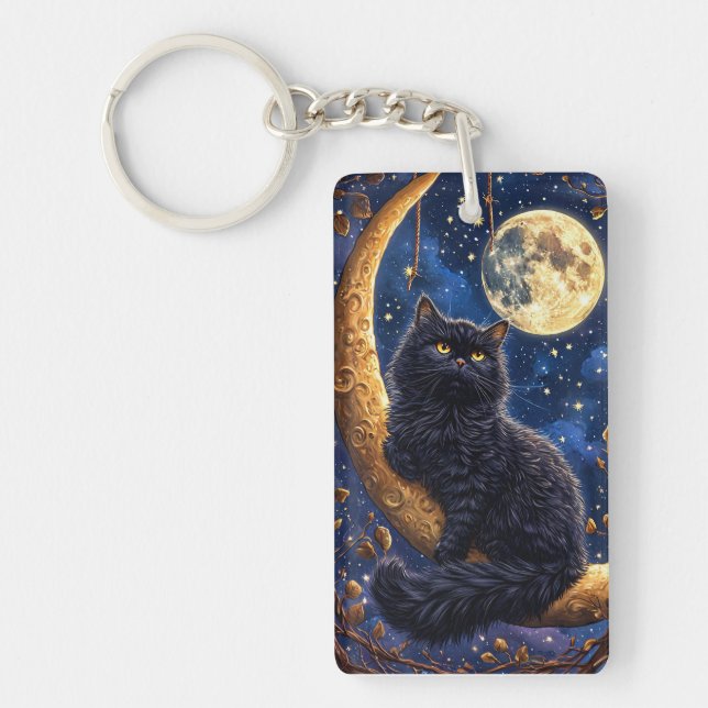 Majestätisk svart katt som vilar (Framsidan)