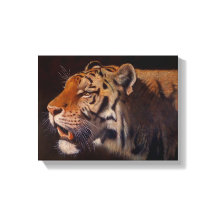 Majestätisk Tiger Liten