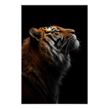 Majestätisk Tiger Porträtt, Styrka Kunglig Självsä
