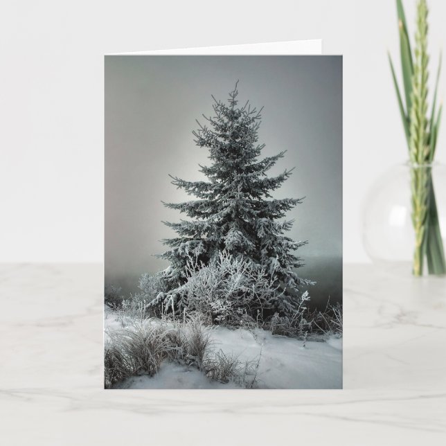 Majestätisk vinter helgkort (Framsida)
