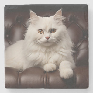 Majestätisk vit katt stenunderlägg
