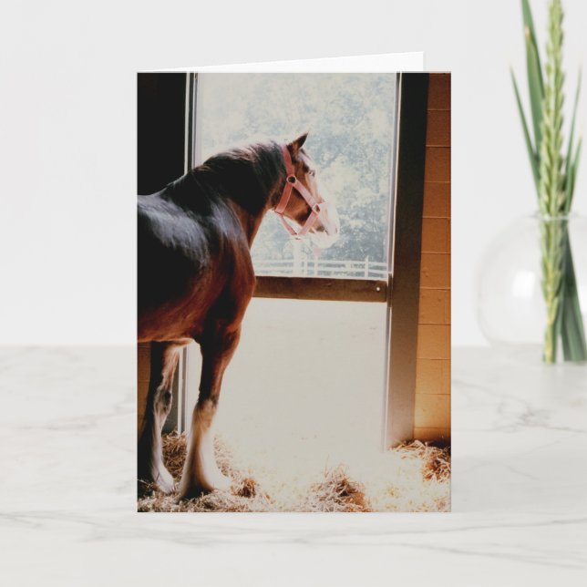 Majestätiska Clydesdale Kort (Framsida)
