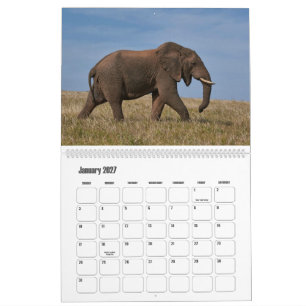 Majestätiska jättar Afrikansk Wildlife-kalender Kalender