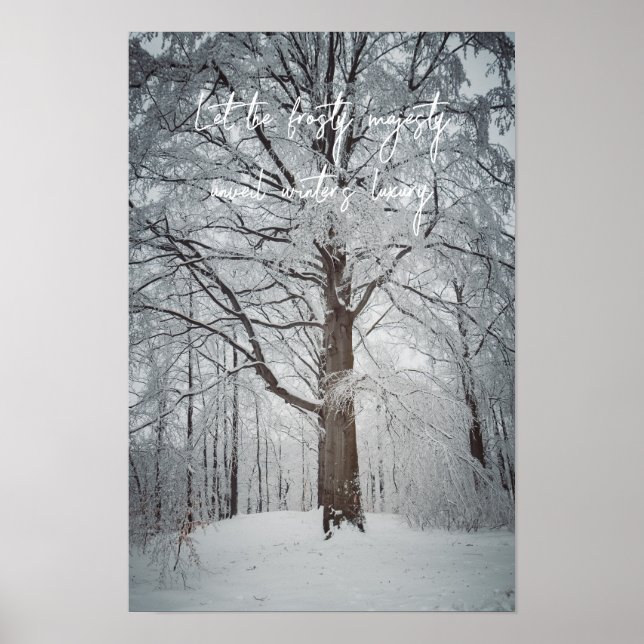 Majestätiskt bokträd i vinter skogen poster (Framsidan)