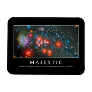 Majestätiskt: Inspirera citationstecken Magnet