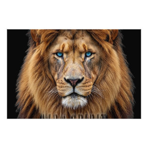 Majestätiskt Lejonansikte med Blå Ögon Wildlife Fototryck