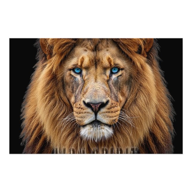 Majestätiskt Lejonansikte med Blå Ögon | Wildlife  Fototryck (Framsidan)