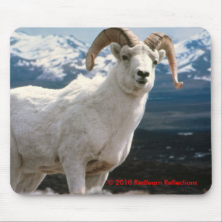 Majestätiskt Musmatta