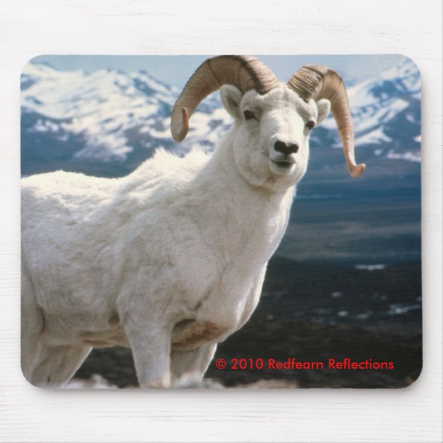 Majestätiskt Musmatta (Framsidan)