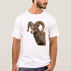 Majestätiskt tjockhornsfår på klippig kulle t shirt