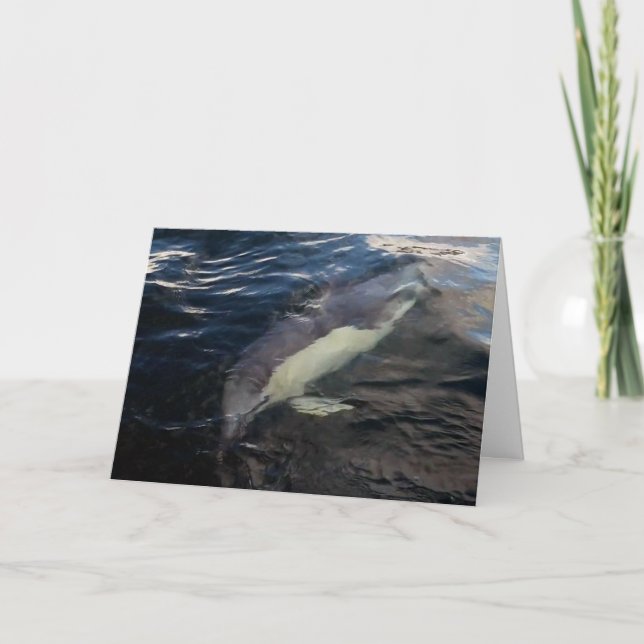 Majestätlig vanlig delfin Undervattensscen från ha Kort (Framsida)
