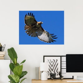 Majestätliga Vingar Inramad Print Poster