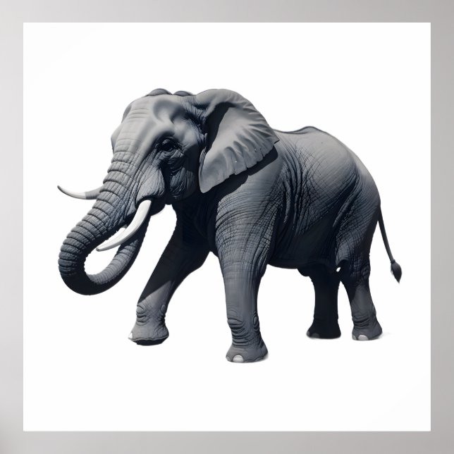 Majestic African Elephant Walking with Large Tusks Poster (Framsidan)