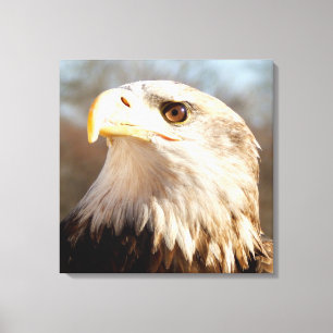 Majestic American Örn Closeup Canvastryck