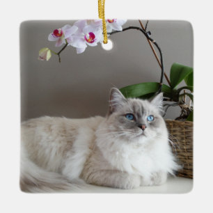 Majestic Balinese Cat Julgransprydnad Keramik