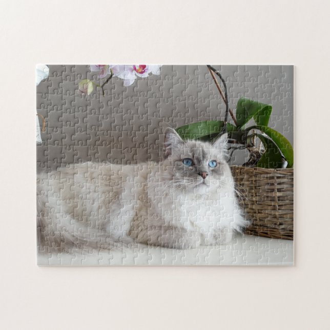 Majestic Balinese Cat Pussel (Horisontell)