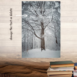 Majestic Beech träd i vinterskogen Poster