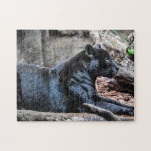 Majestic Black Panther Jigszle Puzzle Pussel