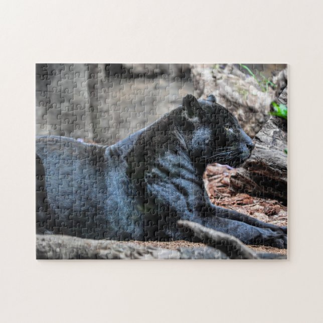Majestic Black Panther Jigszle Puzzle Pussel (Horisontell)
