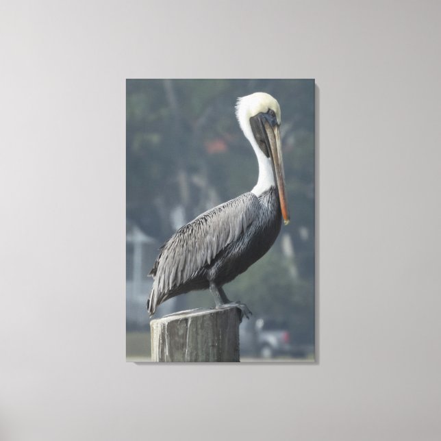 Majestic Brown Pelican on Wooden Post Canvastryck (Framsida)