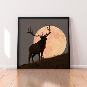Majestic Bull Elk och Full Moon Stiga upp Poster