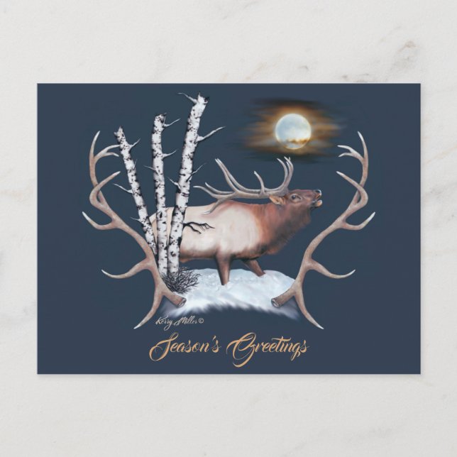 Majestic Bull Elk Vykort (Framsida)