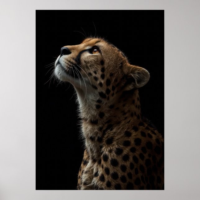 Majestic Cheetah Portrait on Black Background Poster (Framsidan)