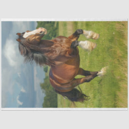 Majestic Chestnut Clydesdale Horse Decoupage