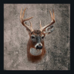 Majestic Deer Against Rustic Background Poster<br><div class="desc">A deer with large antlers is centered against a textured, rustic wall. Its expressive eyes and detailed fur capture the viewer's attention.</div>