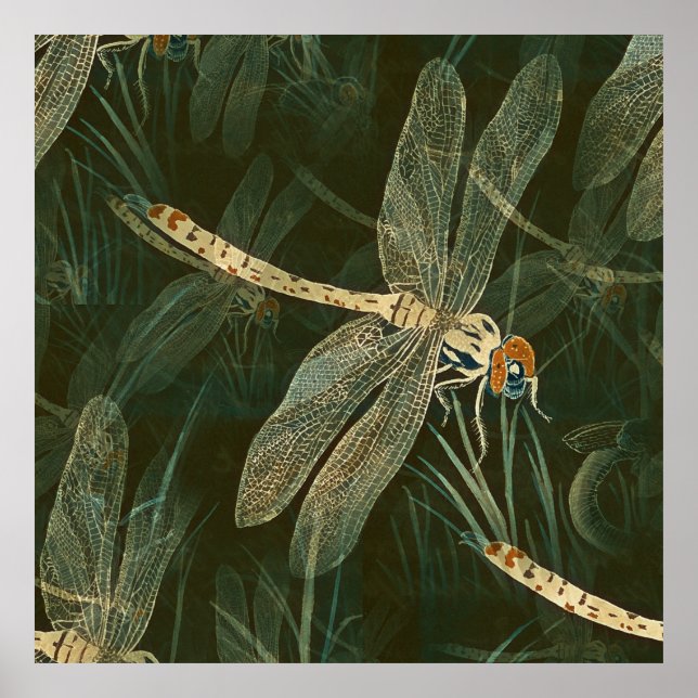 Majestic Dragonfly Mönster Poster (Framsidan)