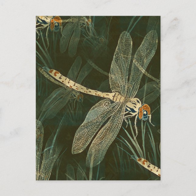 Majestic Dragonfly Mönster Vykort (Framsida)
