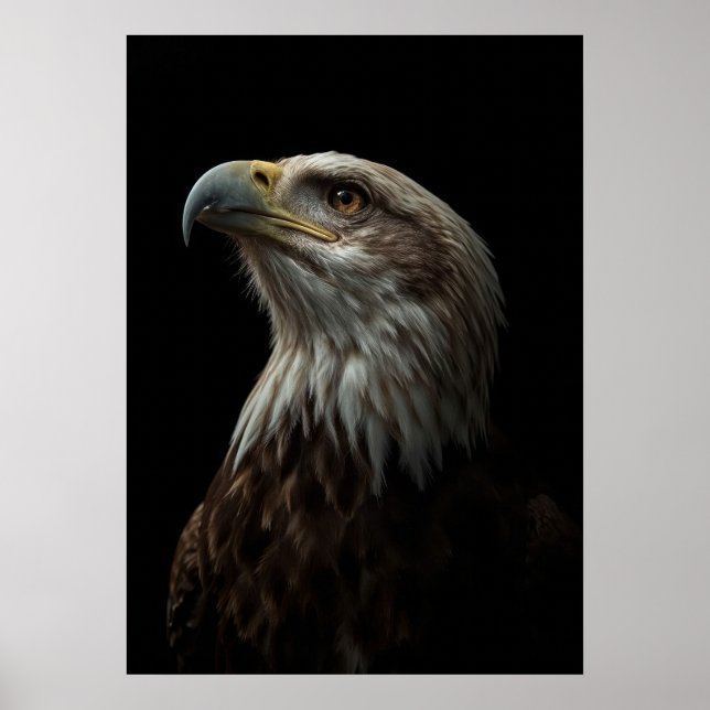 Majestic Eagle Portrait on Black Poster (Framsidan)