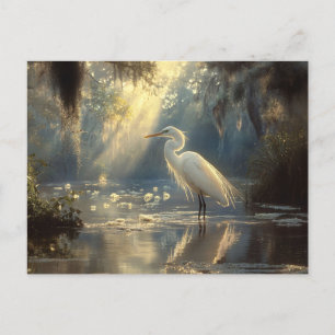 Majestic Egret som står i en solbelyst serensvamp Vykort