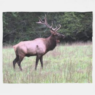 MAJESTIC ELK FLEECEFILT